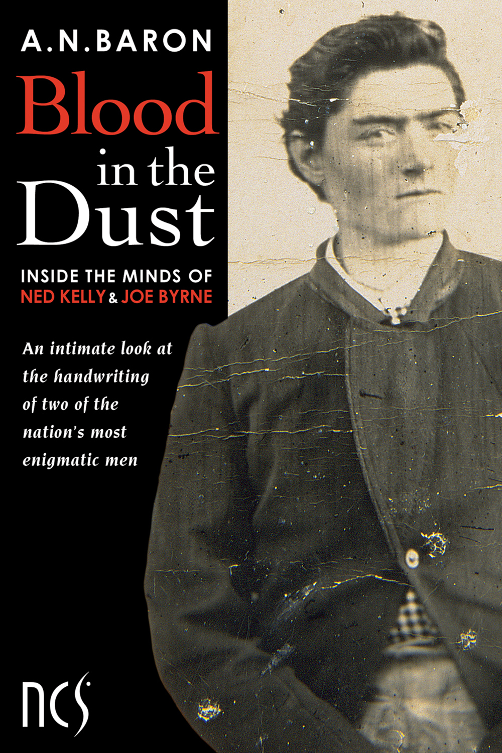 Blood in the Dust by A.N. Baron